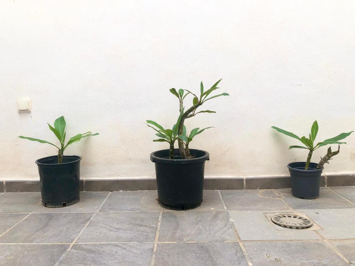 Varela Apartamentos B Málaga Dış mekan fotoğraf