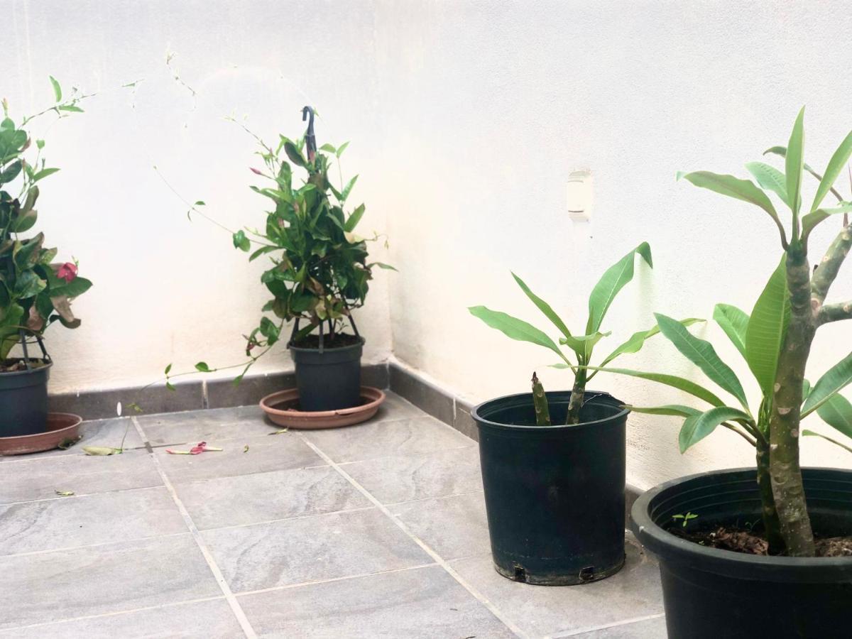 Varela Apartamentos B Málaga Dış mekan fotoğraf